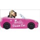 Barbie Dream Car: A Push-Along Board Book Adventure