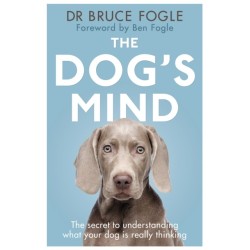 The Dog's Mind