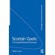 Scottish Gaelic: A Comprehensive Grammar
