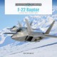 F-22 Raptor: Lockheed Martin Stealth Fighter