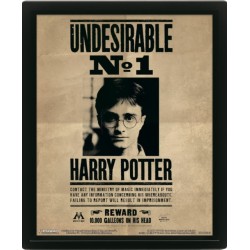Harry Potter (Harry & Sirius) Framed 10 x 8" 3D Lenticular Poster (Framed)