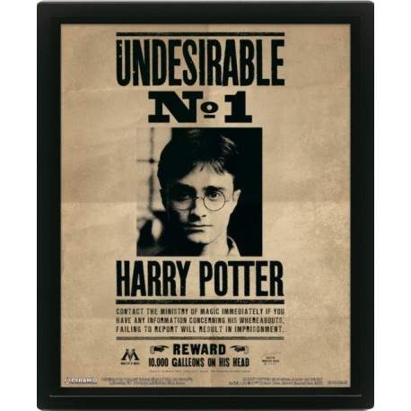 Harry Potter (Harry & Sirius) Framed 10 x 8" 3D Lenticular Poster (Framed)