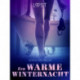 Een warme winternacht - erotisch verhaal