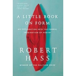 A Little Book on Form: An Exploration into the Formal Imagination of Poetry