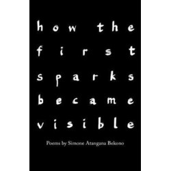 how the first sparks became visible: Poems