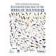 HBW and BirdLife International Illustrated Checklist of the Birds of the World vol.1