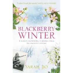 Blackberry Winter: The stunning mystery to curl up with over the winter!