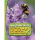 Why Do We Need Bees?