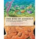 The Rise of Animals: Evolution and Diversification of the Kingdom Animalia