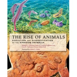 The Rise of Animals: Evolution and Diversification of the Kingdom Animalia