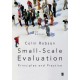 Small-Scale Evaluation: Principles and Practice