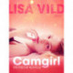 Camgirl: Erotische Novelle