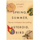 Spring, Summer, Asteroid, Bird: The Art of Eastern Storytelling