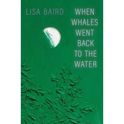 When Whales Went Back to the Water