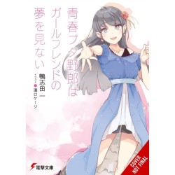 Rascal Does Not Dream of His Girlfriend (light novel)