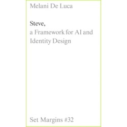 Steve: A Framework for AI and Identity Design