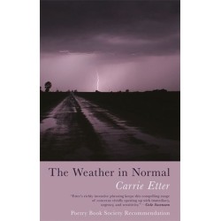 The Weather in Normal