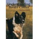 Understanding Border Collies