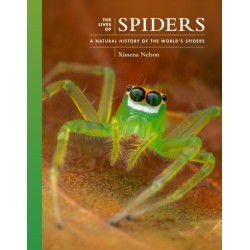 The Lives of Spiders: A Natural History of the World's Spiders