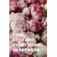 Love, Loss, and Everything In Between
