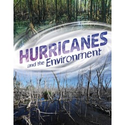 Hurricanes and the Environment