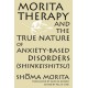 Morita Therapy and the True Nature of Anxiety-Based Disorders (Shinkeishitsu)