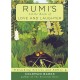 Rumi's Little Book of Love and Laughter: Teaching Stories and Fables