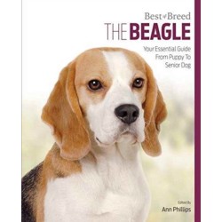 Beagle: Best of Breed
