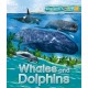 Explorers: Whales and Dolphins