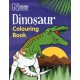 Dinosaur Colouring Book