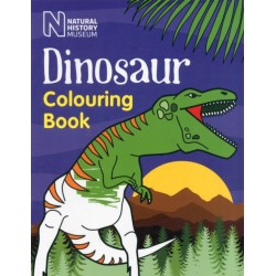 Dinosaur Colouring Book