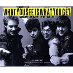 What You See is What You Get: Stiff Little Fingers 1977-1983