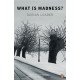 What is Madness?