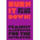 Burn It Down!: Feminist Manifestos for the Revolution