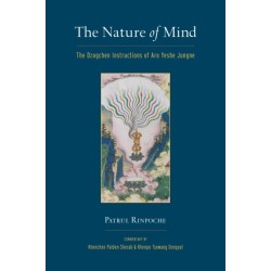 The Nature of Mind: The Dzogchen Instructions of Aro Yeshe Jungne