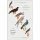 Raptor: A Journey Through Birds