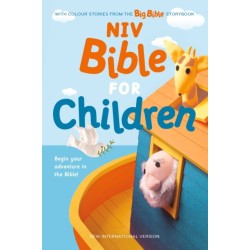 NIV Bible for Children: (NIV Children's Bible) With Colour Stories from the Big Bible Storybook