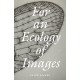 For an Ecology of Images