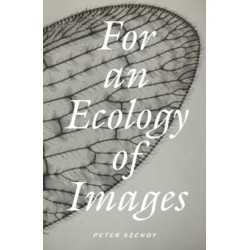For an Ecology of Images