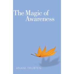 The Magic of Awareness