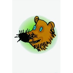 Read Write Inc. Phonics: Picture Sounds Cards (Pack of 118 singles) cards