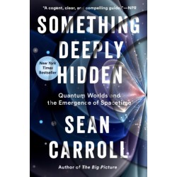 Something Deeply Hidden: Quantum Worlds and the Emergence of Spacetime