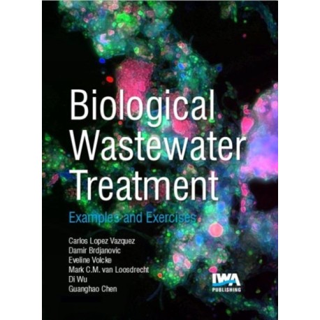 Biological Wastewater Treatment: Examples & Exercises