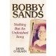 Bobby Sands: Nothing But an Unfinished Song