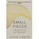 Small Pieces: A Memoir of Loss and Consolation