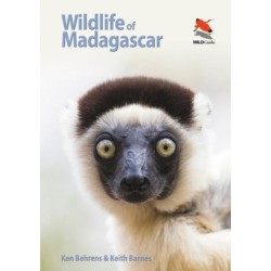 Wildlife of Madagascar
