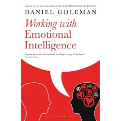 Working with Emotional Intelligence