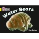 Water Bears: Band 03/Yellow