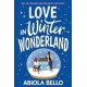 Love in Winter Wonderland: A feel-good bookshop romance to warm hearts this Christmas!