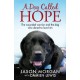 A Dog Called Hope: The wounded warrior and the dog who dared to love him